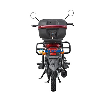 Motorcycle SPARK SP125C-2AM -