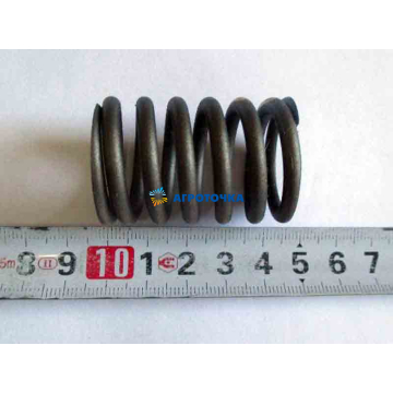 Пружина клапана наружная 4L23BT -