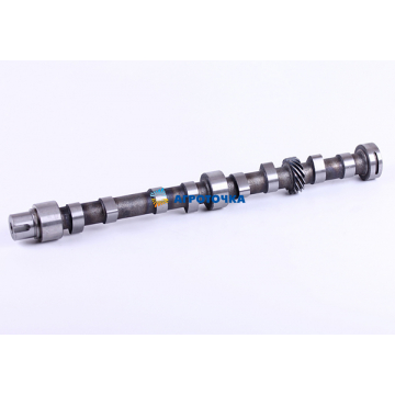 Camshaft 4L22BT -