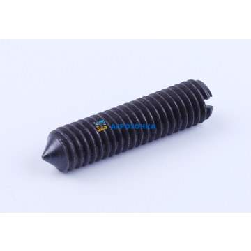 Retainer screw with conical end M6x24 DL190-12 -