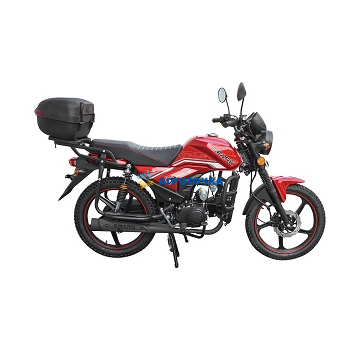 Motorcycle SPARK SP125C-2AM -