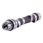 Camshaft for mini-tractor TY290 -