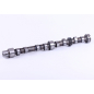 Camshaft 4L22BT -