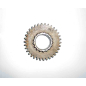 Downshift gear DTZ244.5/DTZ244.5R -