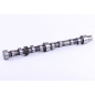 Camshaft 4L22BT -