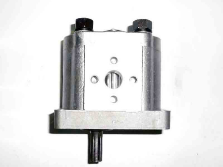 Gear pump CBN-310 (30F10L) DTZ244.5/DTZ244.5R