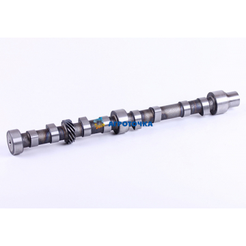 Camshaft 4L22BT -